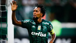 SAO PAULO, BRAZIL - NOVEMBER 27: Ze Roberto of Palmeiras bids farewell after the match against Botafogo for the Brasileirao Series A 2017 at Allianz Parque Stadium on November 27, 2017 in Sao Paulo, Brazil. (Photo by Alexandre Schneider/Getty Images)