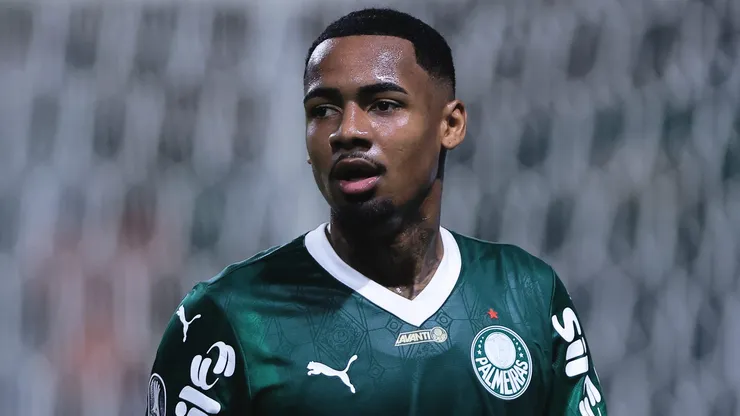 Torcida Alviverde pediu pênalti em lance com o atacante Allan