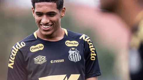 Foto: Raul Baretta/Santos FC