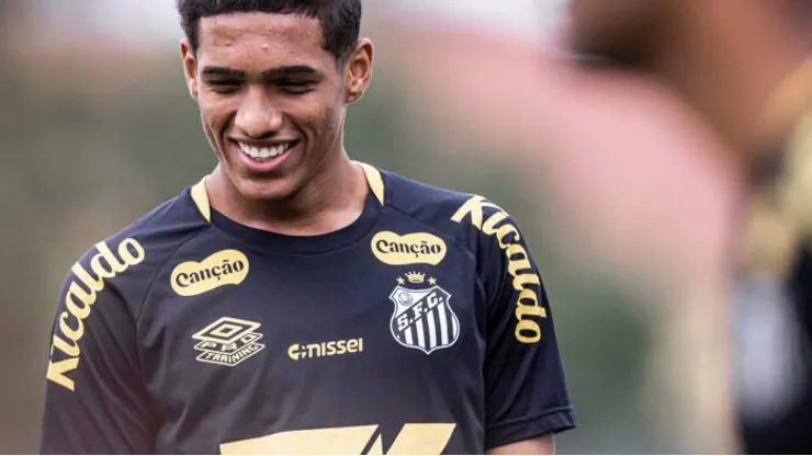 Foto: Raul Baretta/Santos FC