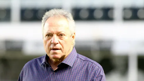 SP - SANTOS - 03/12/2025 - BRASILEIRO A 2025, SAO PAULO X INTERNACIONAL - Abel Braga tecnico do Internacional durante partida contra o Sao Paulo no estadio Vila Belmiro pelo campeonato Brasileiro A 2025.