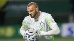 Weverton, goleiro do Palmeiras