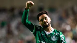 Felipe Anderson em campo pelo Palmeiras. Foto: Luiz Erbes/AGIF