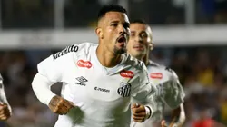 Zé Ivaldo está liberado para defender Santos contra o Cruzeiro