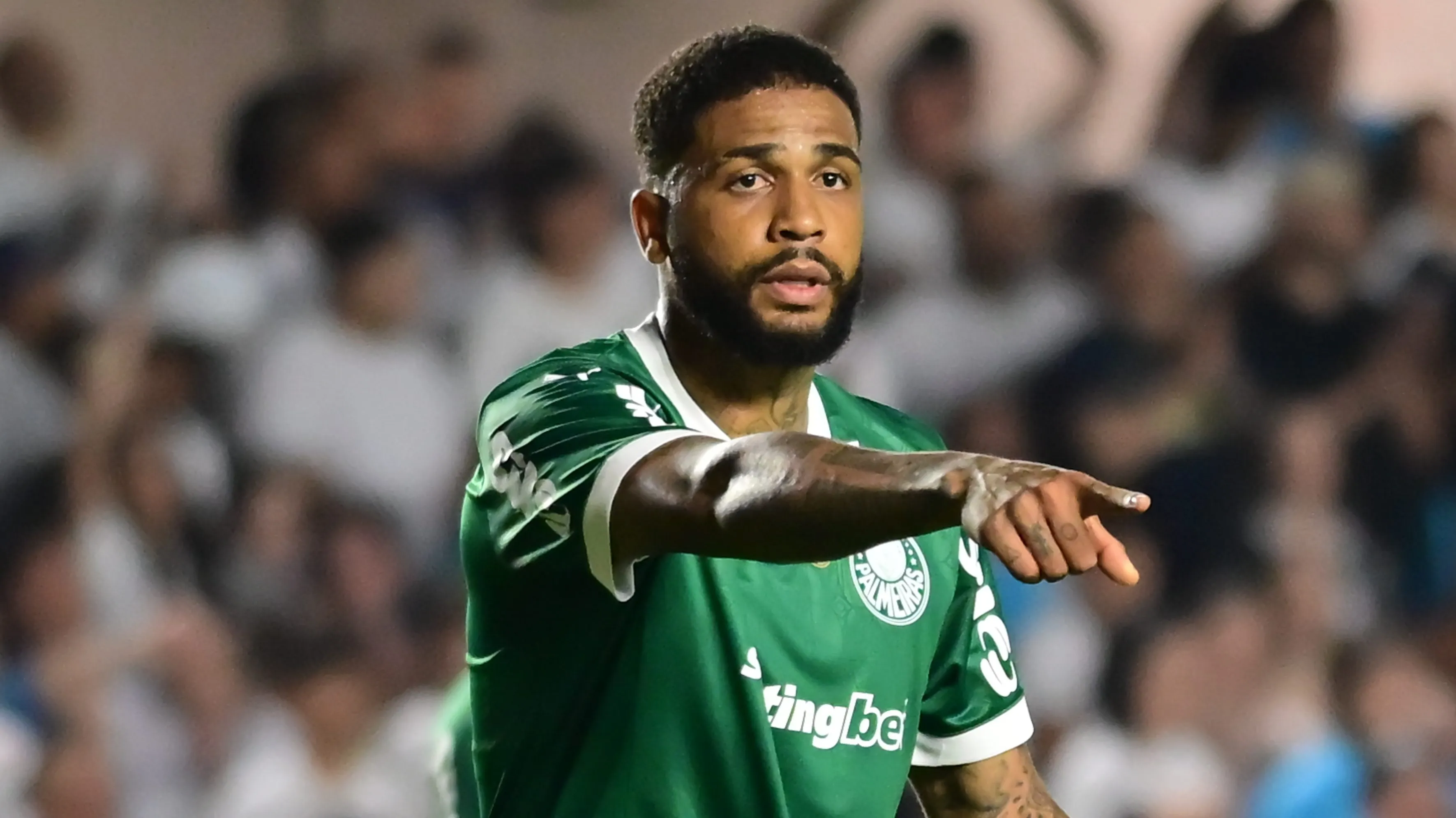 Micael, zagueiro do Palmeiras. Foto: Jota Erre/AGIF