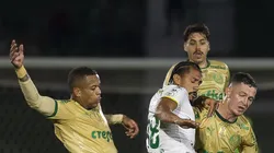 Caio Paulista, lateral do Palmeiras