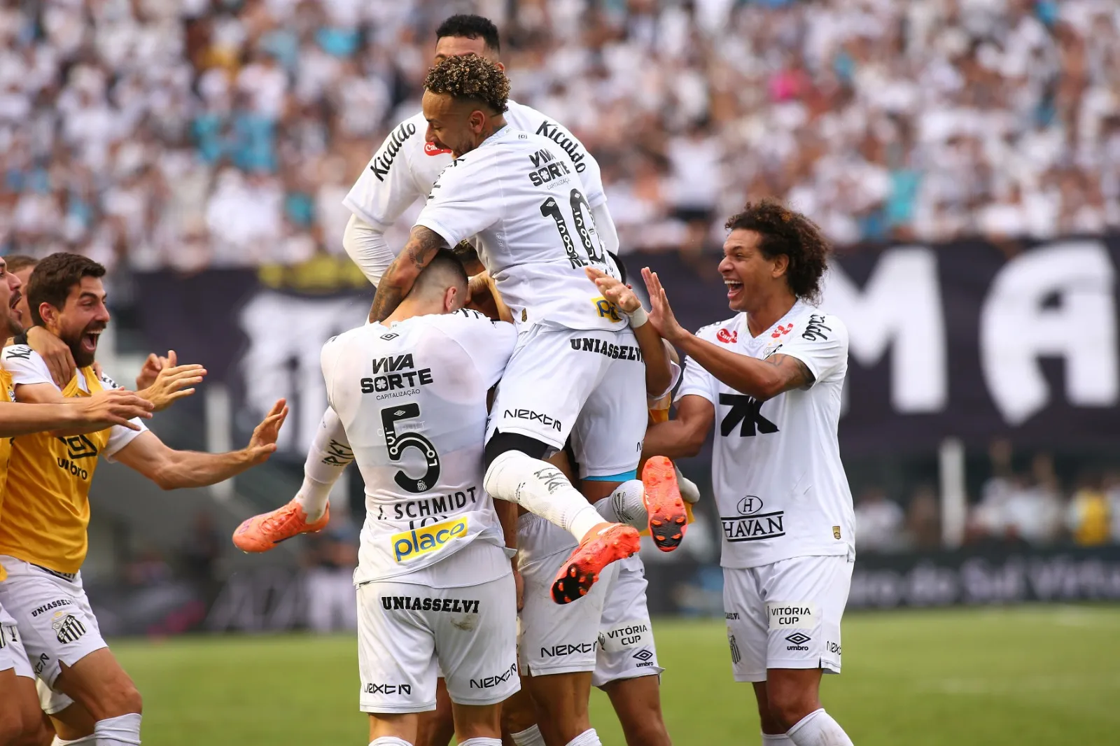 Elenco do Santos comemorando gol marcado diante do Cruzeiro na última rodada do Braisleiro – Foto: Mauricio De Souza/AGIF