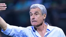 Luís Castro é o novo técnico do Imortal.