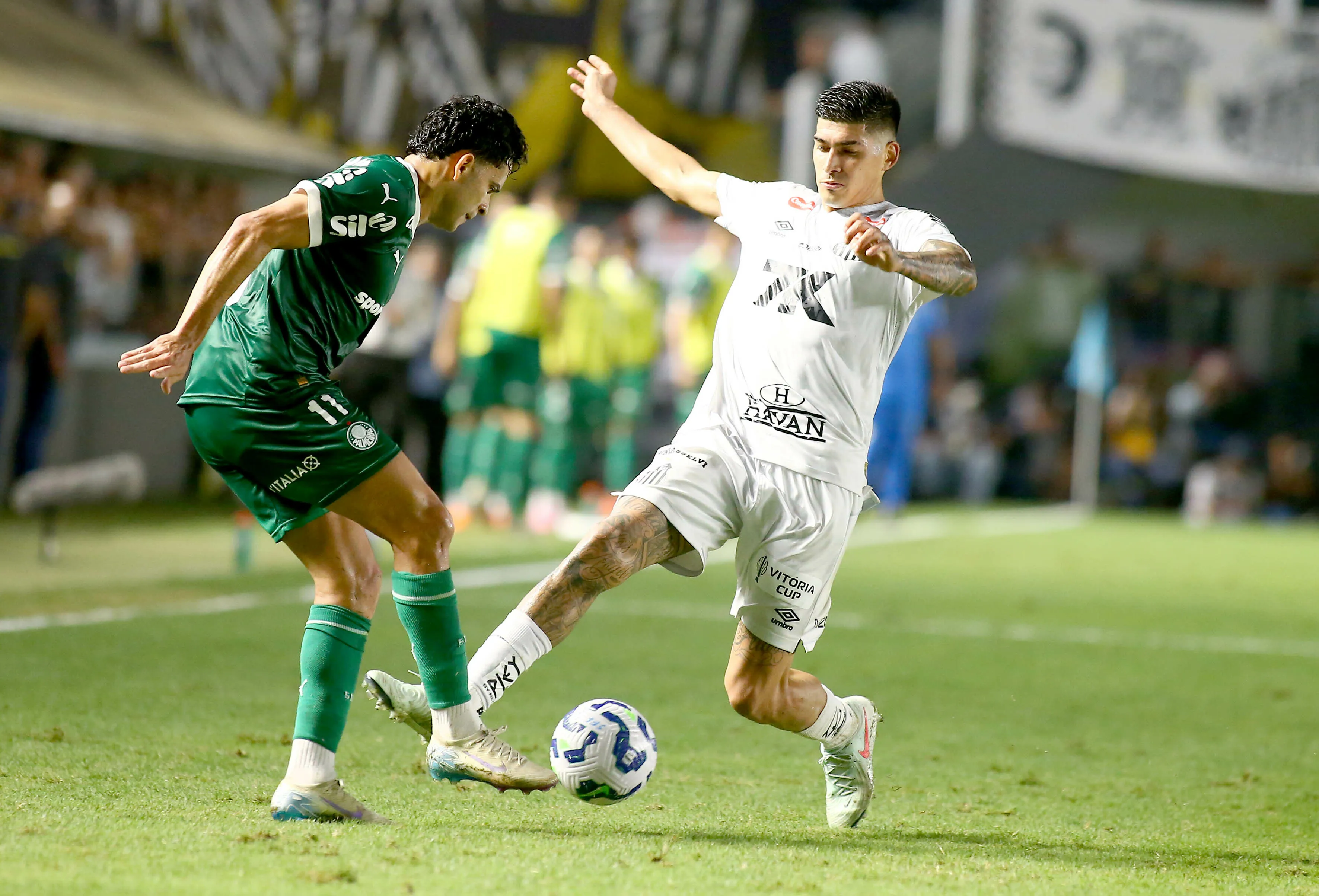 Adonis Frias jogador do Santos disputa lance com Bruno Rodrigues jogador do Palmeiras durante partida no estadio Vila Belmiro pelo campeonato Brasileiro A 2025. Foto: Mauricio De Souza/AGIF