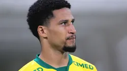 Entre lesões e nova concorrência Murilo tem ano mais curto no Palmeiras em comparação aos últimos três — Foto Ettore ChiereguiniAGIF