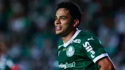 Bruno Rodrigues em campo pelo Palmeiras. Foto: Luiz Erbes/AGIF