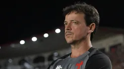 Fernando Diniz, técnico do Vasco. Foto: Thiago Ribeiro/AGIF
