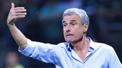 Luís Castro participa da reformulação do elenco.