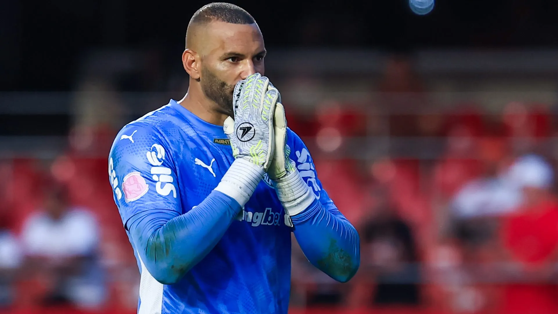 Weverton, do Palmeiras