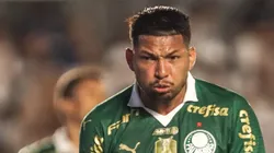 Rony em campo pelo Verdão.