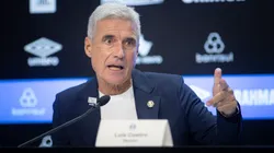 Luís Castro vai dar chances para Viery