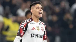 Raposa pediu Luiz Araújo