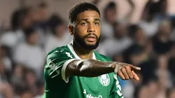 MIcael em campo pelo Palmeiras. Foto: Jota Erre/AGIF
