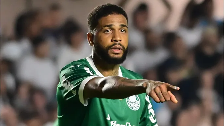 MIcael em campo pelo Palmeiras. Foto: Jota Erre/AGIF