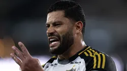 Hulk no Galo. Foto: '