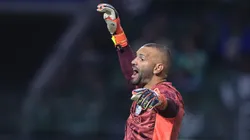 Weverton, goleiro do Palmeiras, durante partida contra o Grêmio no estádio Arena Allianz Parque pelo campeonato Brasileiro A 2025. Foto: Ettore Chiereguini/AGIF