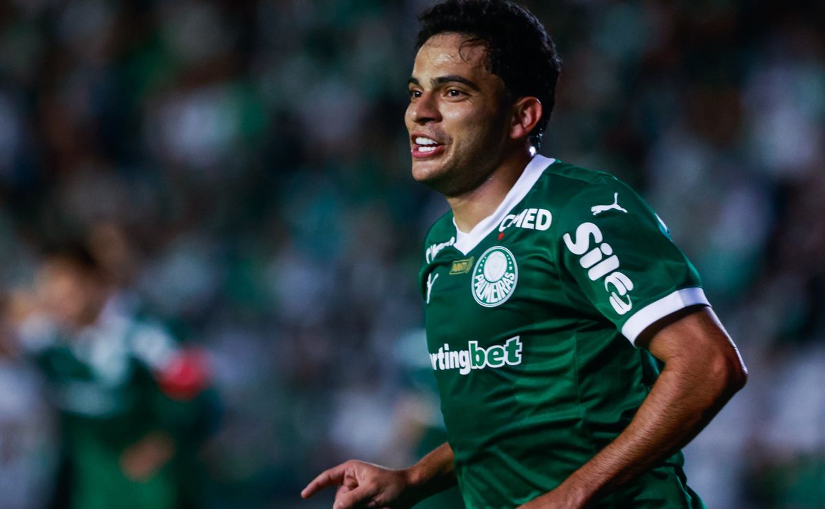 image para ilustrar o artigo