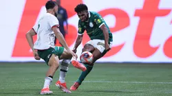 Luighi jogador do Palmeiras durante partida contra o Portuguesa no estadio Arena Allianz Parque pelo campeonato Paulista 2025. Foto: Ettore Chiereguini/AGIF