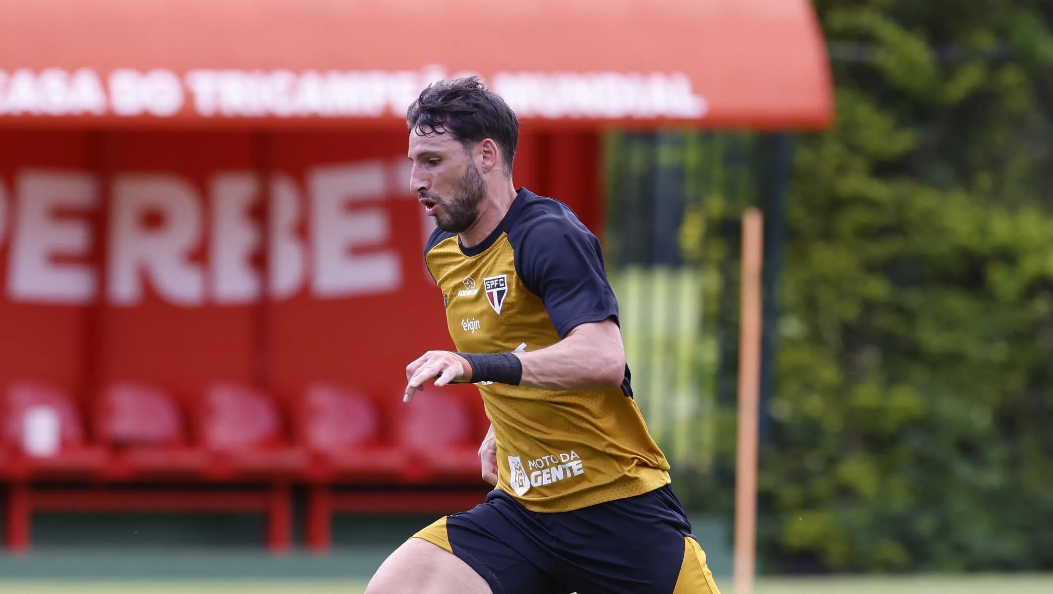 Foto: Erico Leonan/São Paulo FC