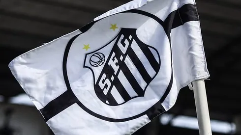 Bandeira do Santos. Fotos: Reinaldo Campos/ Santos