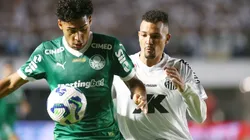 Santos reencontra palco da única vitória fora contra o Palmeiras na era Abel — Foto Mauricio De SouzaAGIF