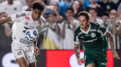 Palmeiras x Santos farão primeiro clássico da temporada