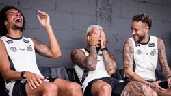 Raul Baretta/ Santos FC.