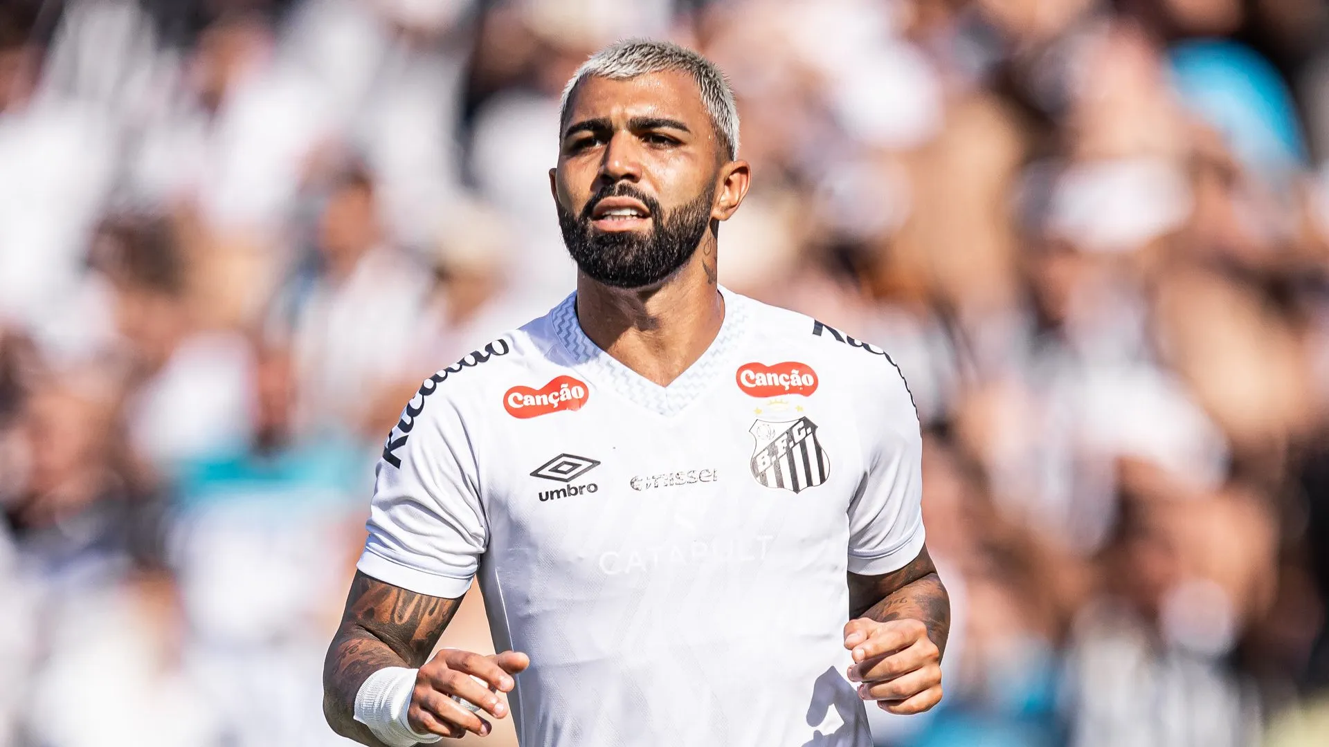 Gabriel Barbosa, atacante do Santos em partida pelo campeonato paulista (Foto: Raul Baretta/ Santos FC)