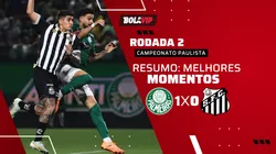 Palmeiras 1 x 0 Santos. Foto: Ettore Chiereguini/AGIF