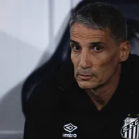 Vojvoda elogia o Palmeiras, mas cita que gol de Allan foi uma fatalidade