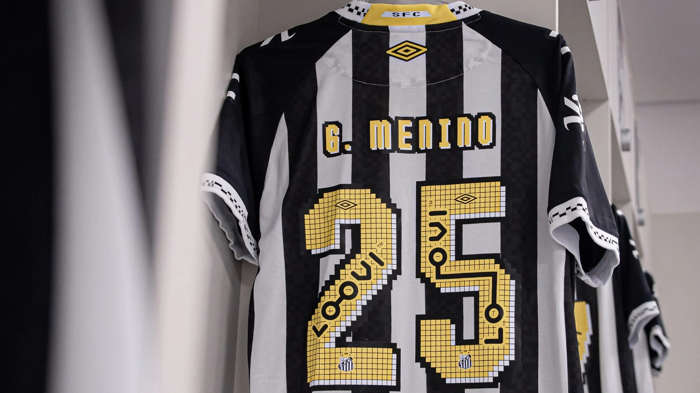 Foto: Raul Baretta/Santos FC