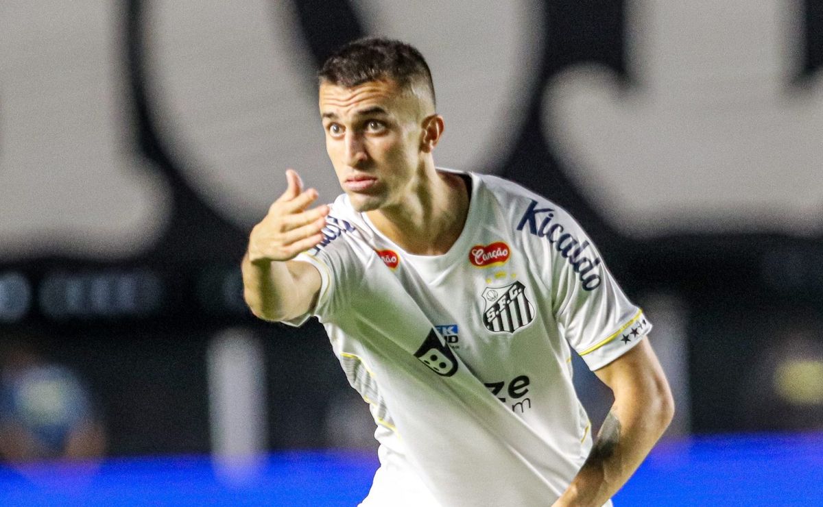 Torcida do Santos se revolta com João Schmidt e Zé Ivaldo: “Até quando vão normalizar?”