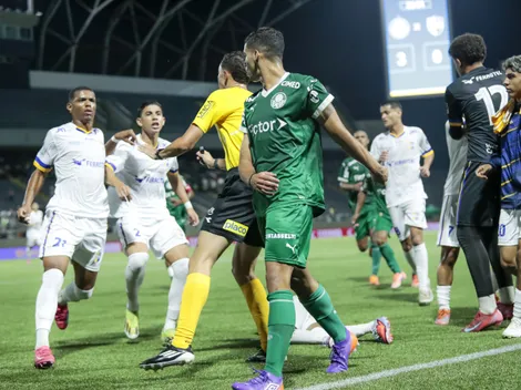 Base do Palmeiras rende mais que a de qualquer rival