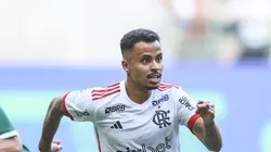 Allan em campo pelo Flamengo.