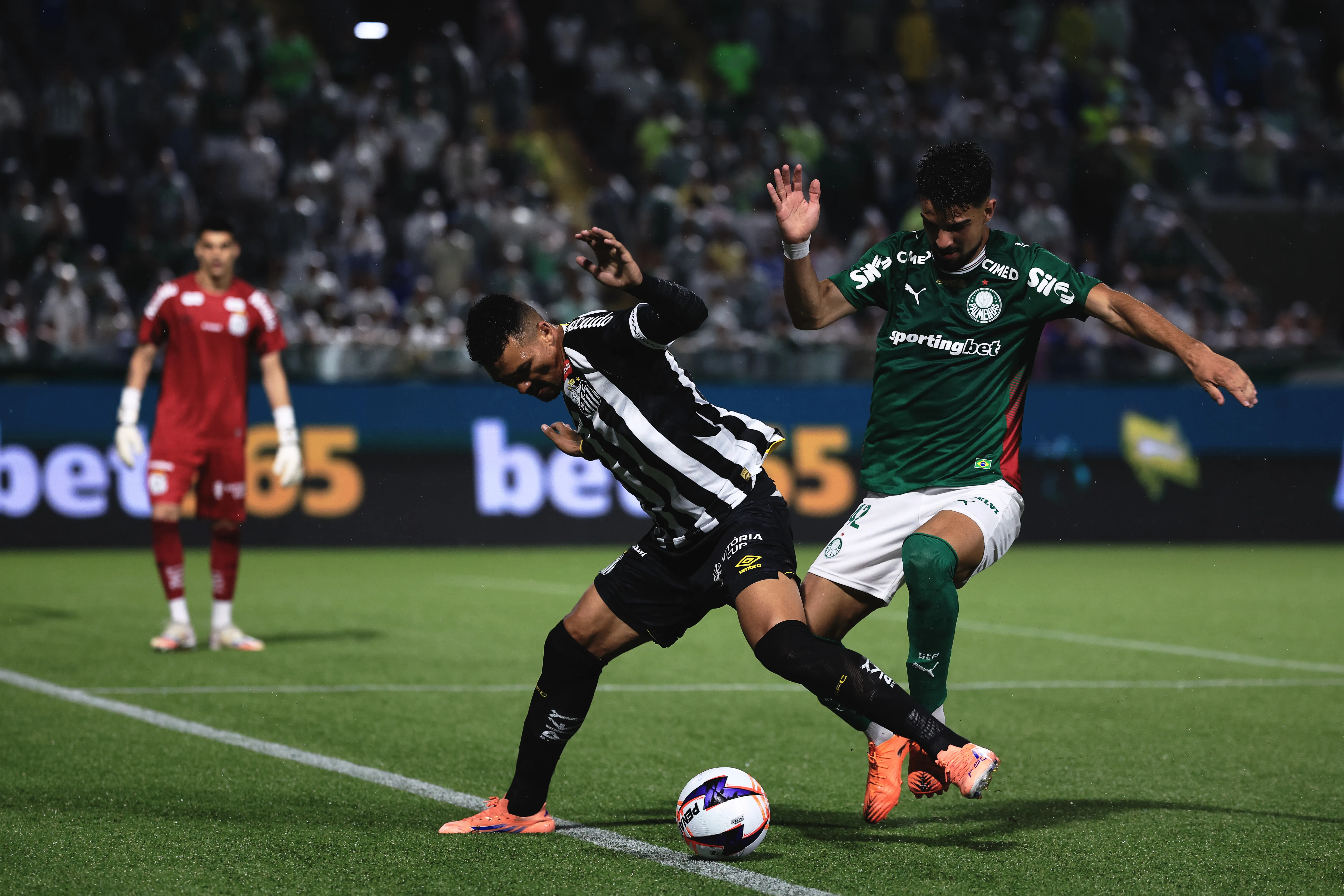 Palmeiras venceu o Santos pelo Paulistão. Foto: Ettore Chiereguini/AGIF