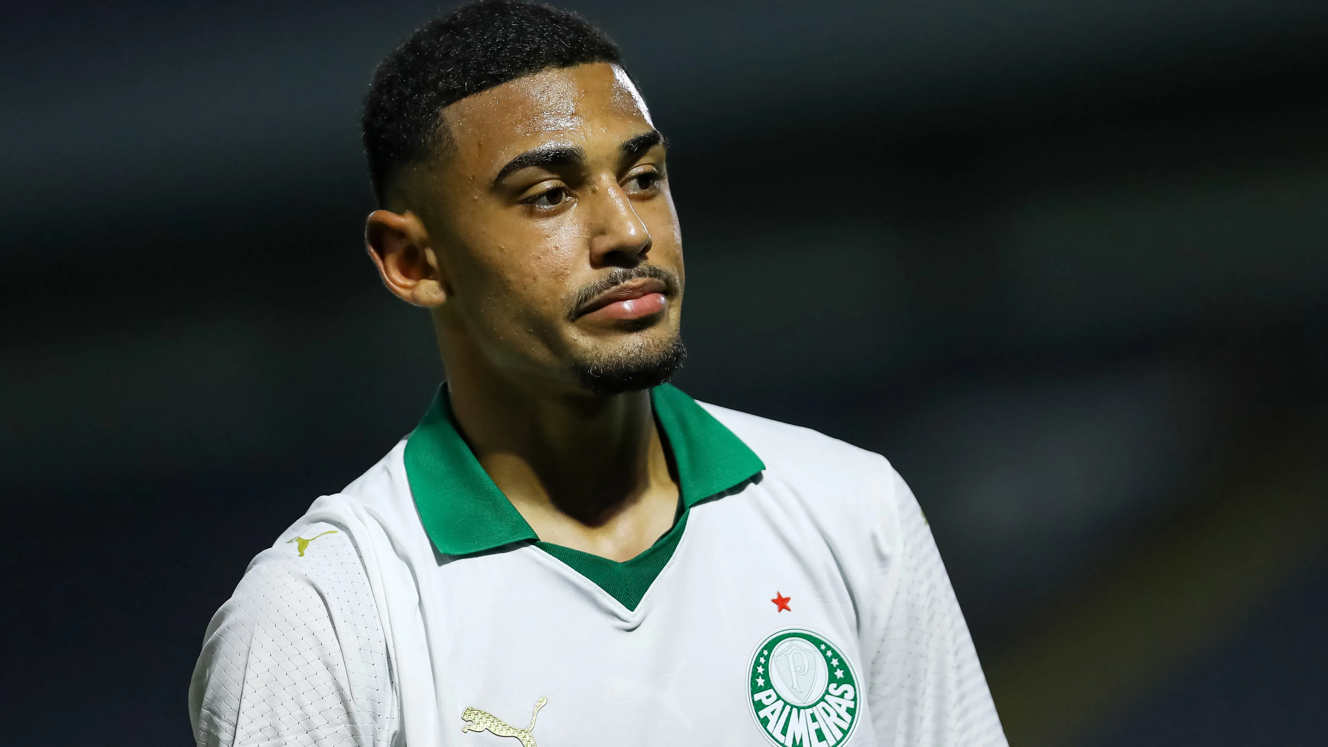 Riquelme Fillipi em campo pelo Verdão. Foto: Marco Miatelo/AGIF