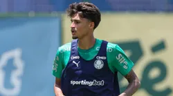 Larson vem ganhando espaço entre os profissionais. Foto: Fabio Menotti/Palmeiras