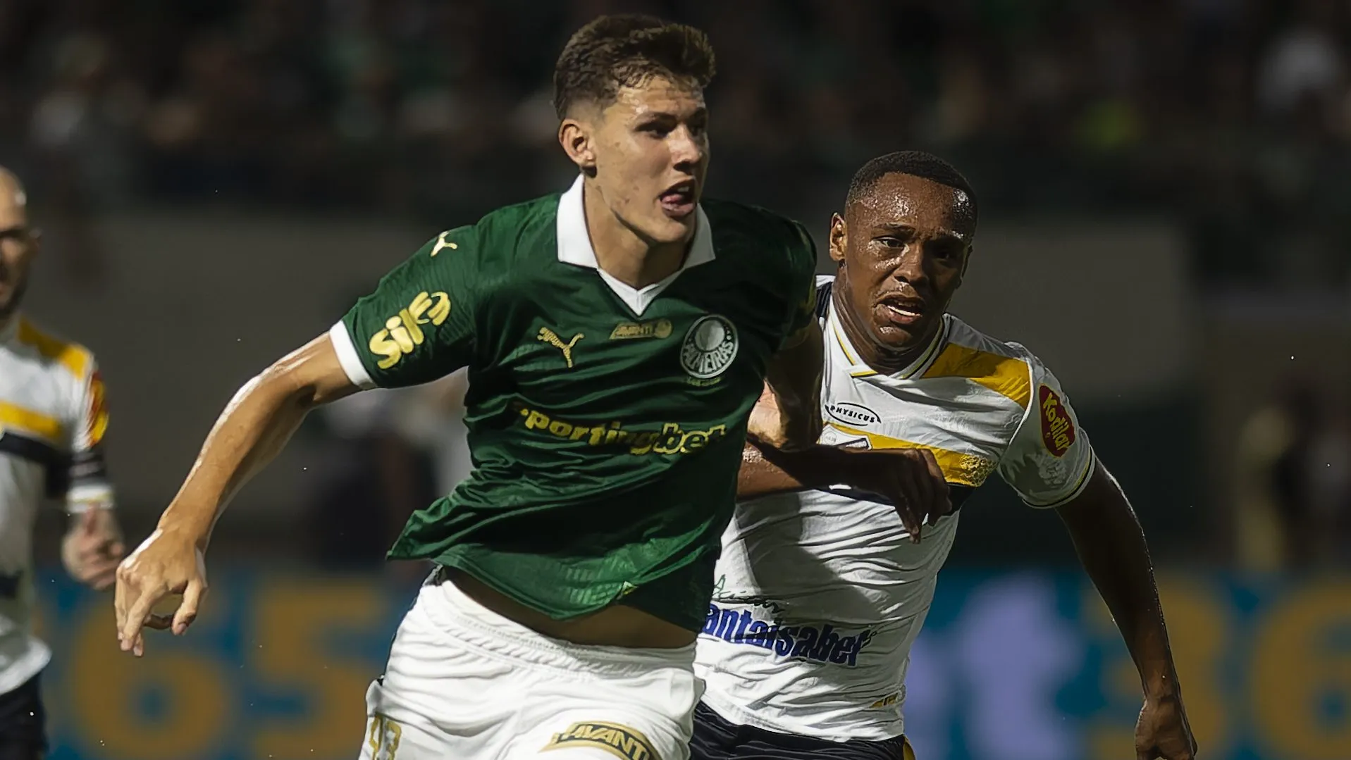 Palmeiras x Novorizontino