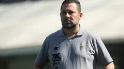 Caio Couto, treinador das Sereias. Foto: Reinaldo Campos/Santos