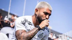 Gabigol em campo pelo Peixe. Foto: Raul Baretta/ Santos FC