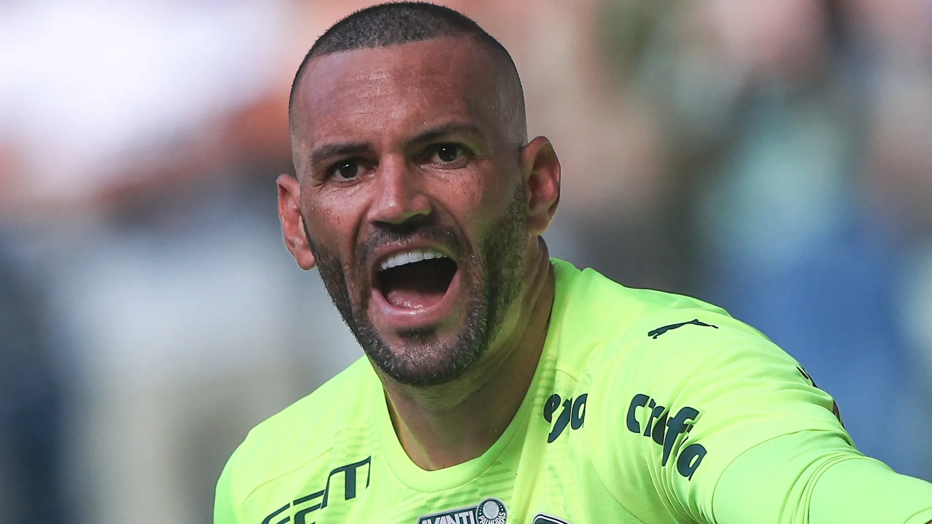 Weverton, do Palmeiras