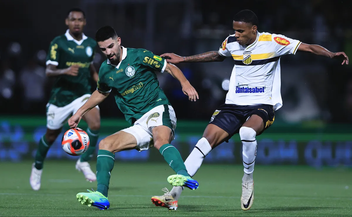 Novorizontino x Palmeiras; Saiba onde assistir!