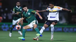 Novorizontino x Palmeiras. Foto: Ettore Chiereguini/AGIF