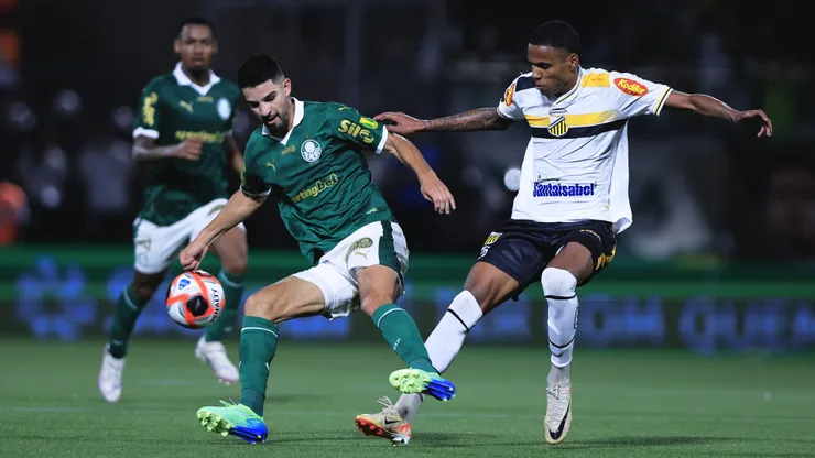Novorizontino x Palmeiras. Foto: Ettore Chiereguini/AGIF