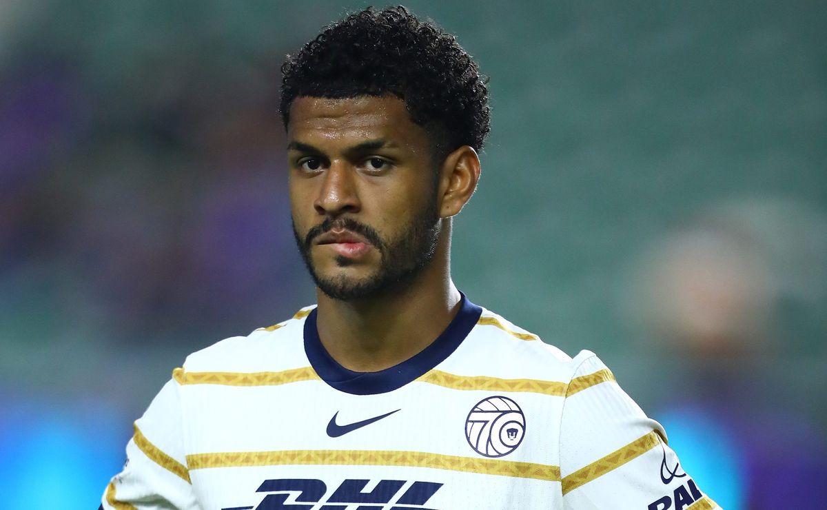 image para ilustrar o artigo